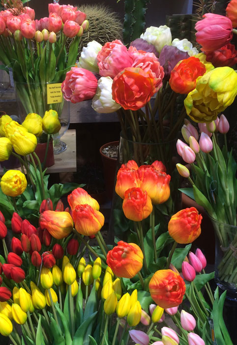 Weekend ad amsterdam