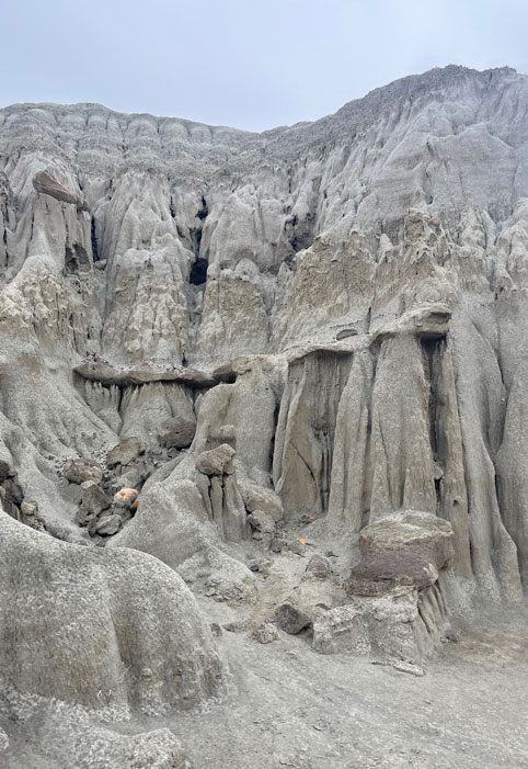 Deserto del Tatacoa grigio