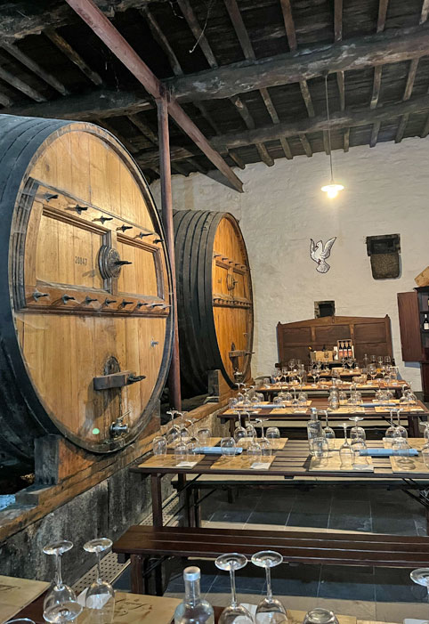 valle douro da porto