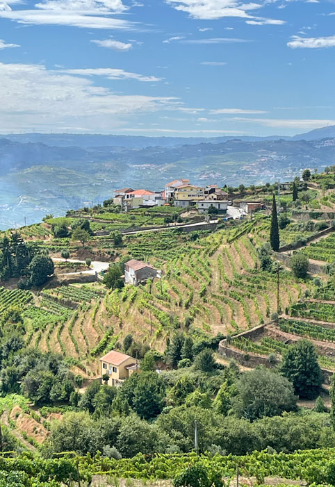 valle douro da porto
