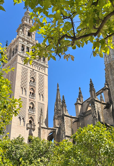 Siviglia ad agosto